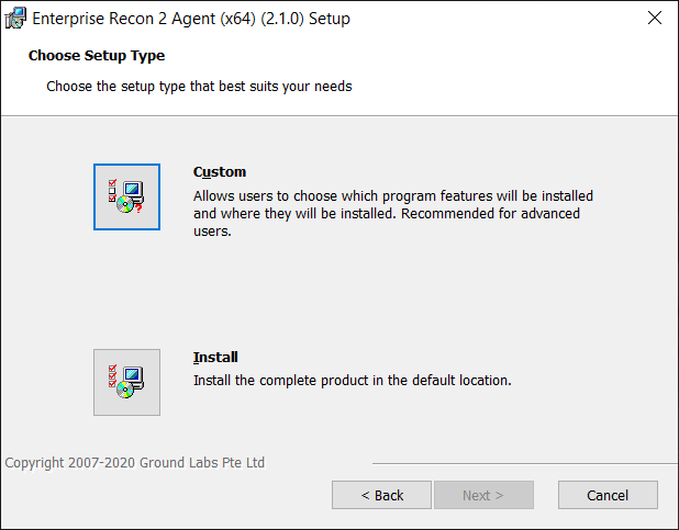 Choose Setup Type dialog box for Windows Node Agent installation.