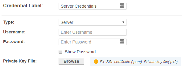 Example of adding a Server Target credential set with the label set to "Server Credentials" in the Target Credentials.