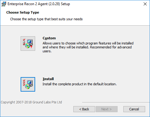 Choose Setup Type dialog box for Windows Node Agent installation.
