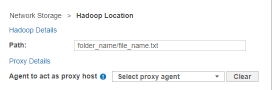 "Network Storage > Remote access via SSH" dialog box with the path set to "folder_name\file_name.txt".