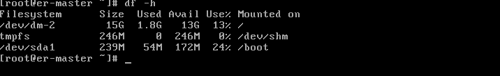 Run "df -h" command in the Master Server console to check disk usage on the Master Server.