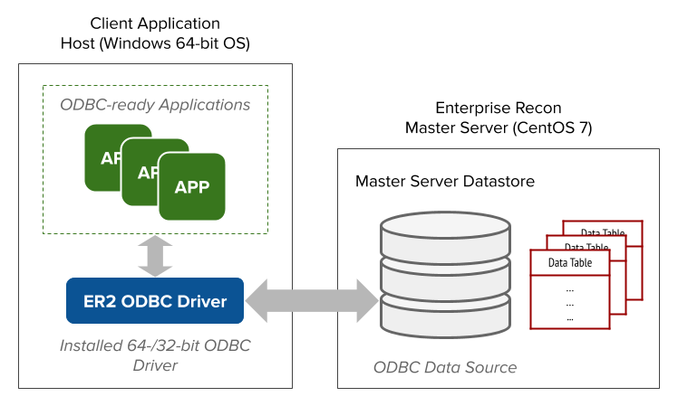 Enterprise Recon ODBC data source and client application connection diagram