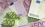 Marketing Ground Labs