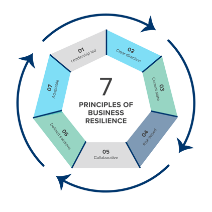 seven principles of business resilience