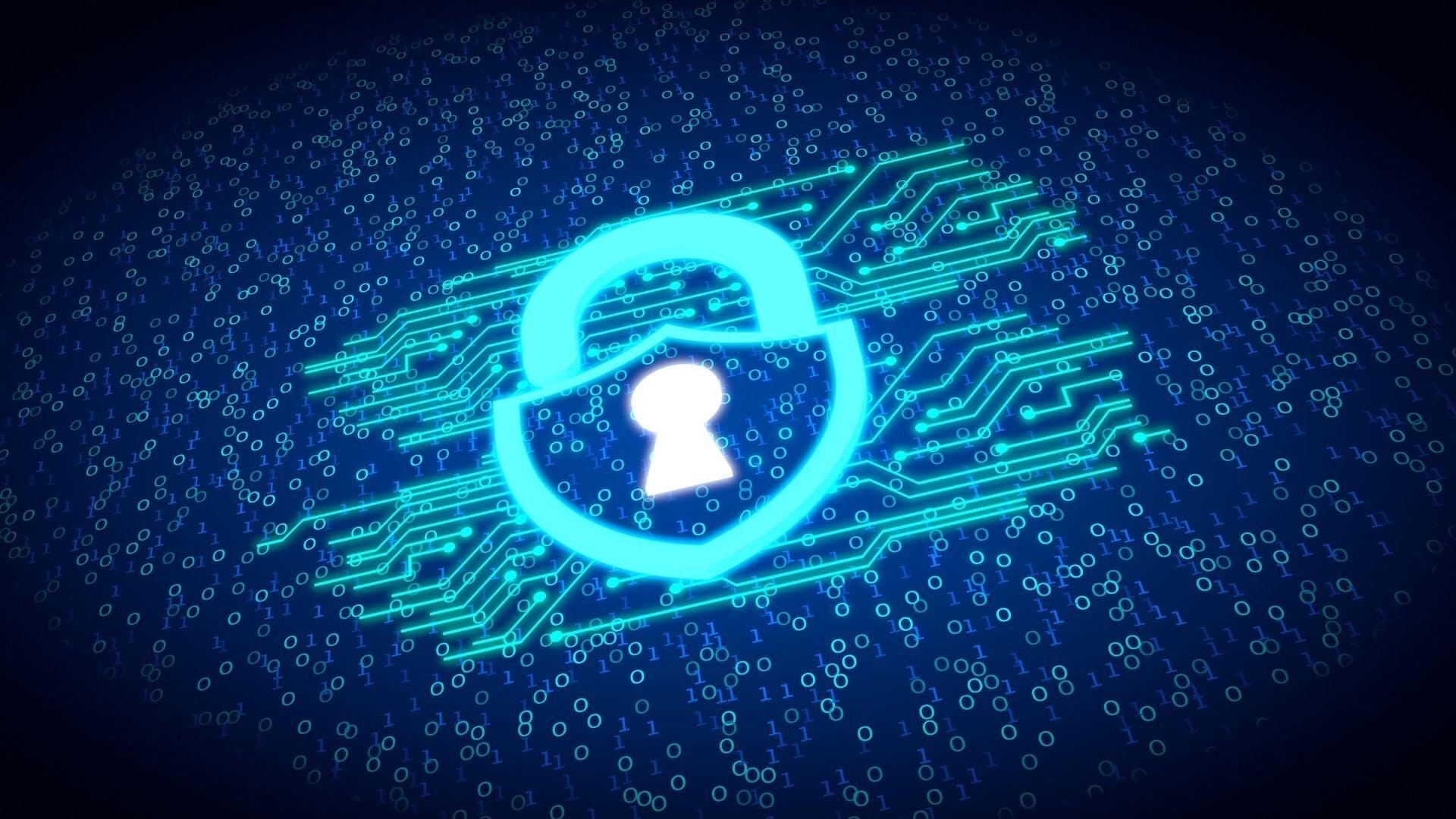 Sensitive Data Masking for PCI DSS | Ground Labs