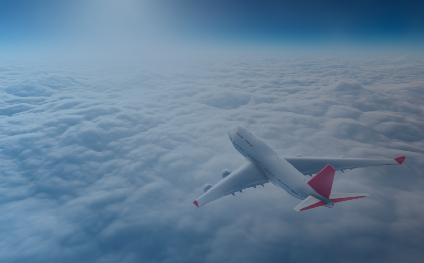 Airline