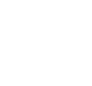 A key with a number of nodes emerging from the sides.
