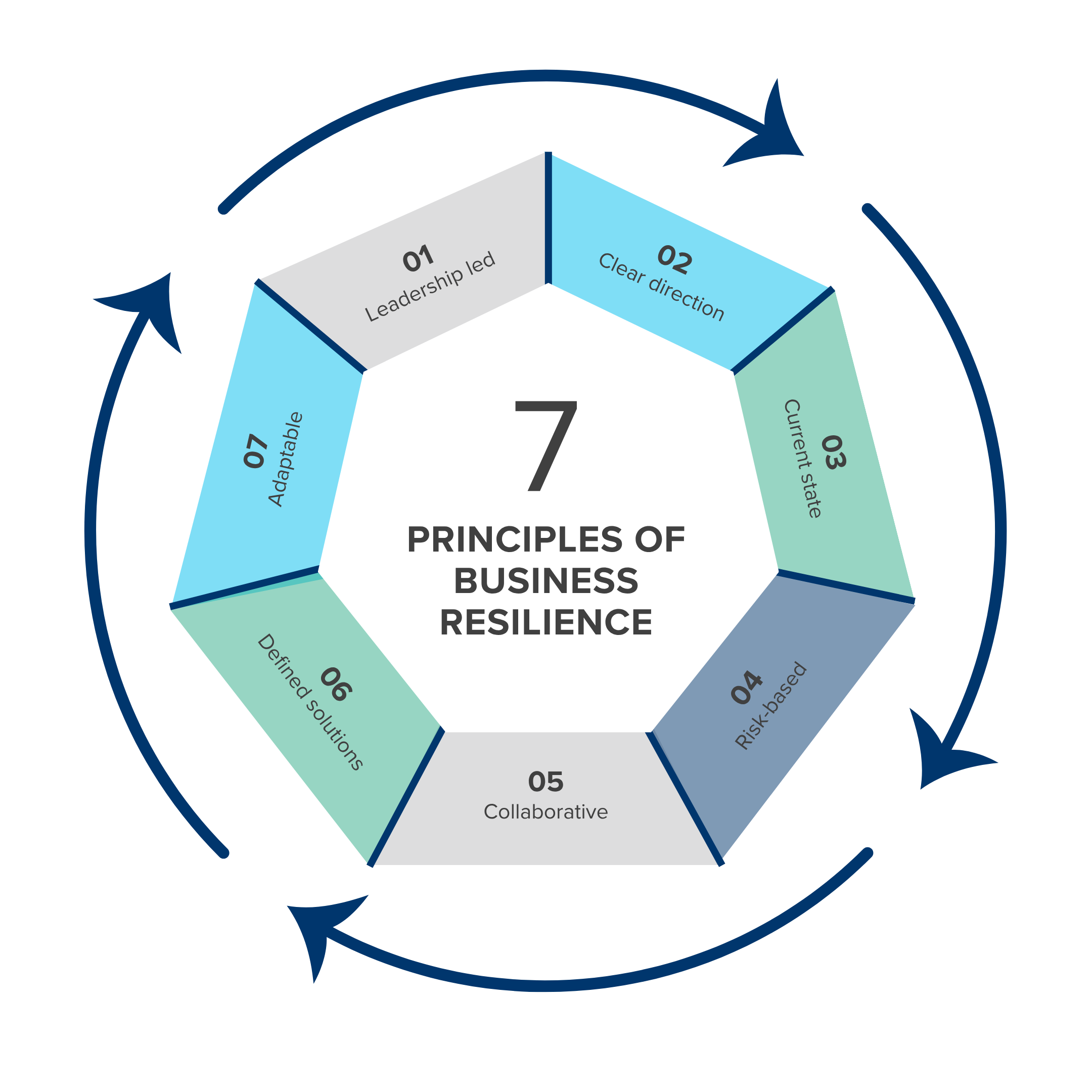 seven principles of business resilience